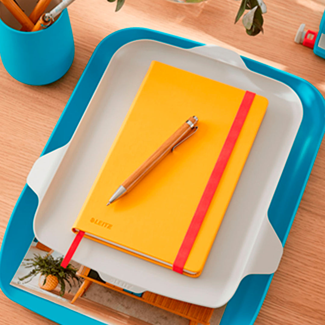 LEITZ Cosy - Bandeja Doble Para Cartas y Organizador de Sobremesa, Azul