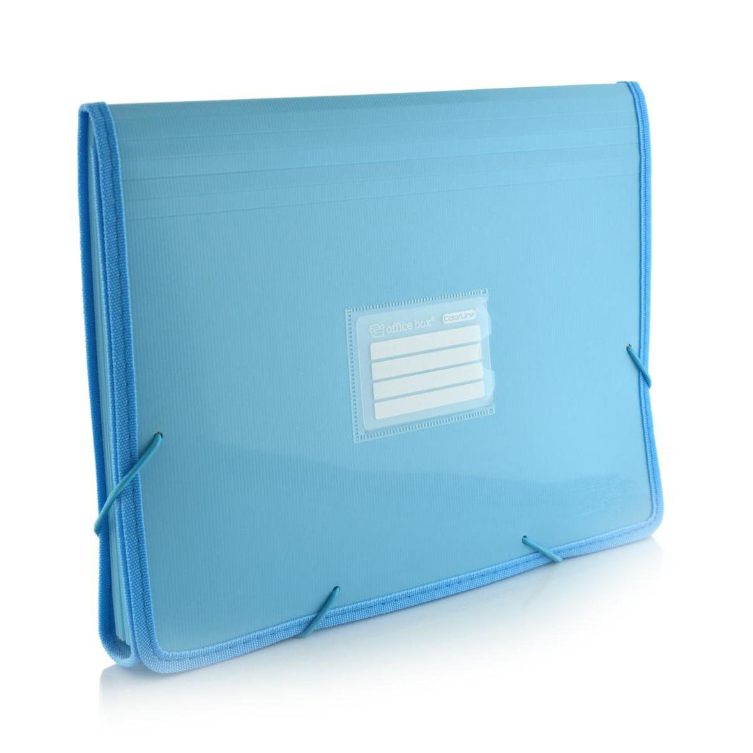 Office Box - Carpeta Clasificadora A4 con 12 Divisiones y 80 Adhesivos Identificativos