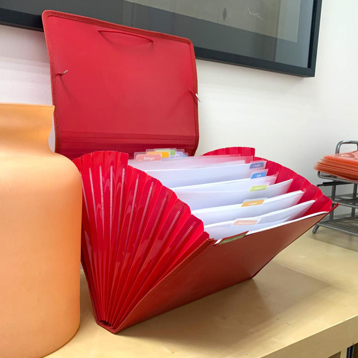 Office Box - Carpeta Clasificadora A4 con 12 Divisiones y 80 Adhesivos Identificativos