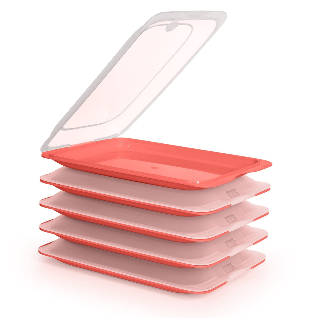 TATAY Fresh - Lote de 5 Recipientes Porta Embutidos y Alimentos. Coral 22