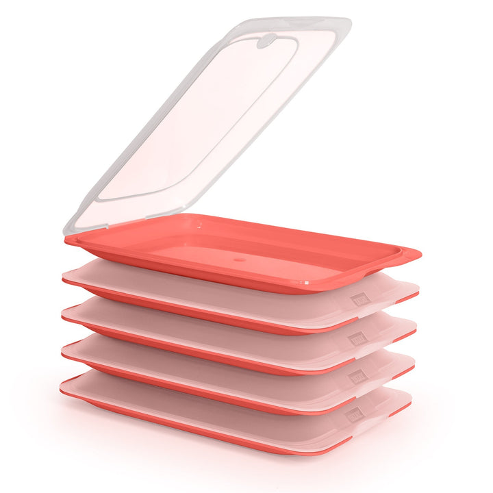 TATAY Fresh - Lote de 5 Recipientes Porta Embutidos y Alimentos. Coral 22