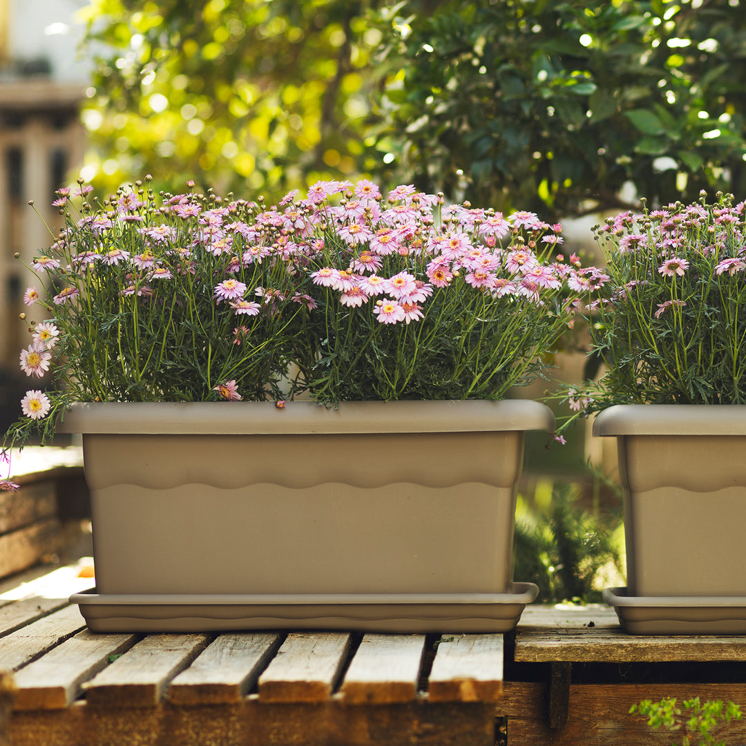 Plastiken TERRA - Jardinera Rectangular, Medida 80 x 33 cm 44L. Terracota