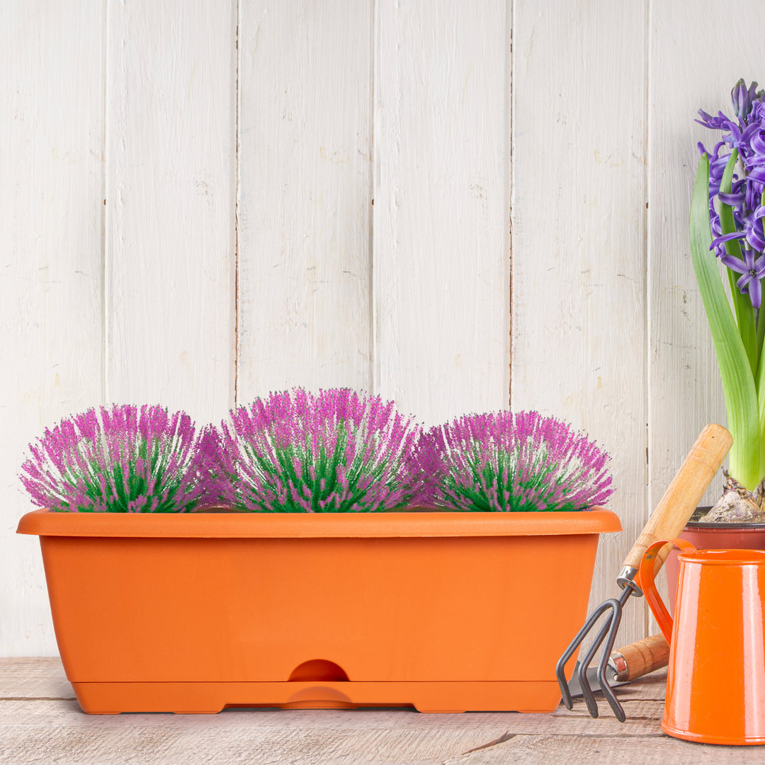 Plastic Forte - Jardinera Rectangular 60 cm con Plato Integrado. Terracota