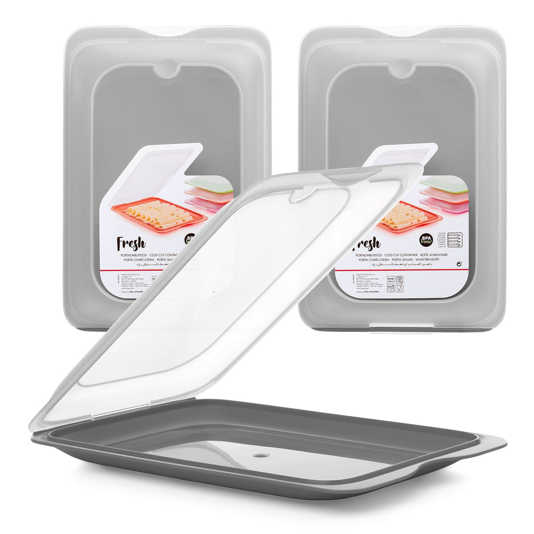 TATAY Fresh - Lote de 5 Recipientes Porta Embutidos y Alimentos. Gris 22