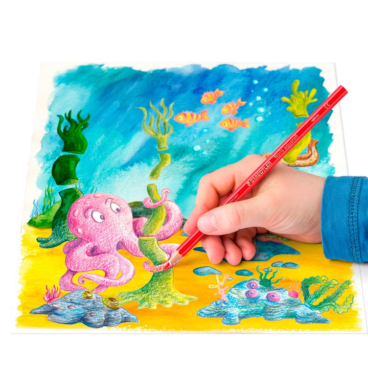 STAEDTLER Noris Aquarell - Set de 24 Lápices de Colores Acuarelables. Incluye Pincel