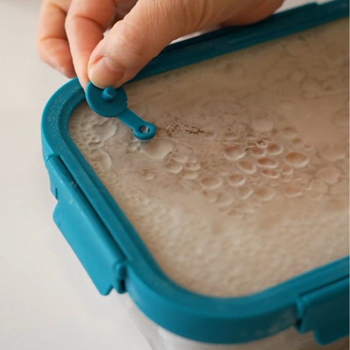 Lacor Etern - Recipiente Rectangular de Acero Inoxidable y Tapa de Cristal Apto Microondas