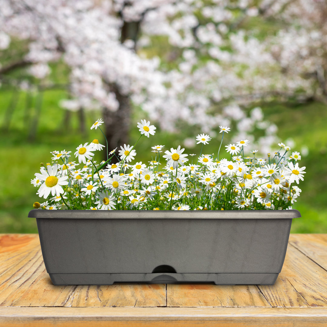 Plastic Forte - Lote de 2 Jardineras Balconeras 40 cm con Platos Integrados. Terracota