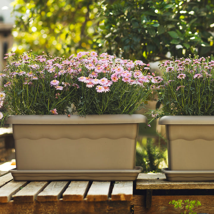 Plastiken TERRA - Jardinera Rectangular 80 x 33 cm 44L con Plato Incluido. Taupe