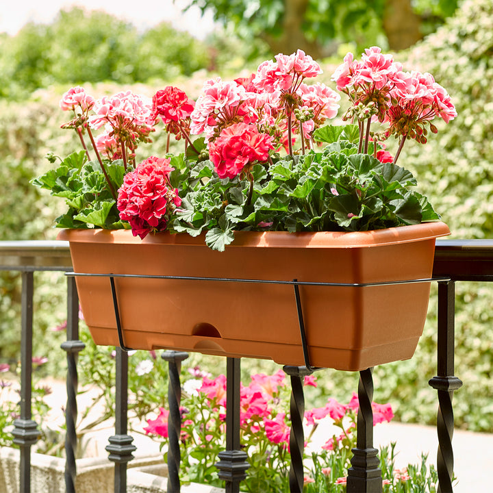 Plastic Forte - Lote de 2 Jardineras Balconeras 60 cm con Plato Integrado y Soporte. Terracota