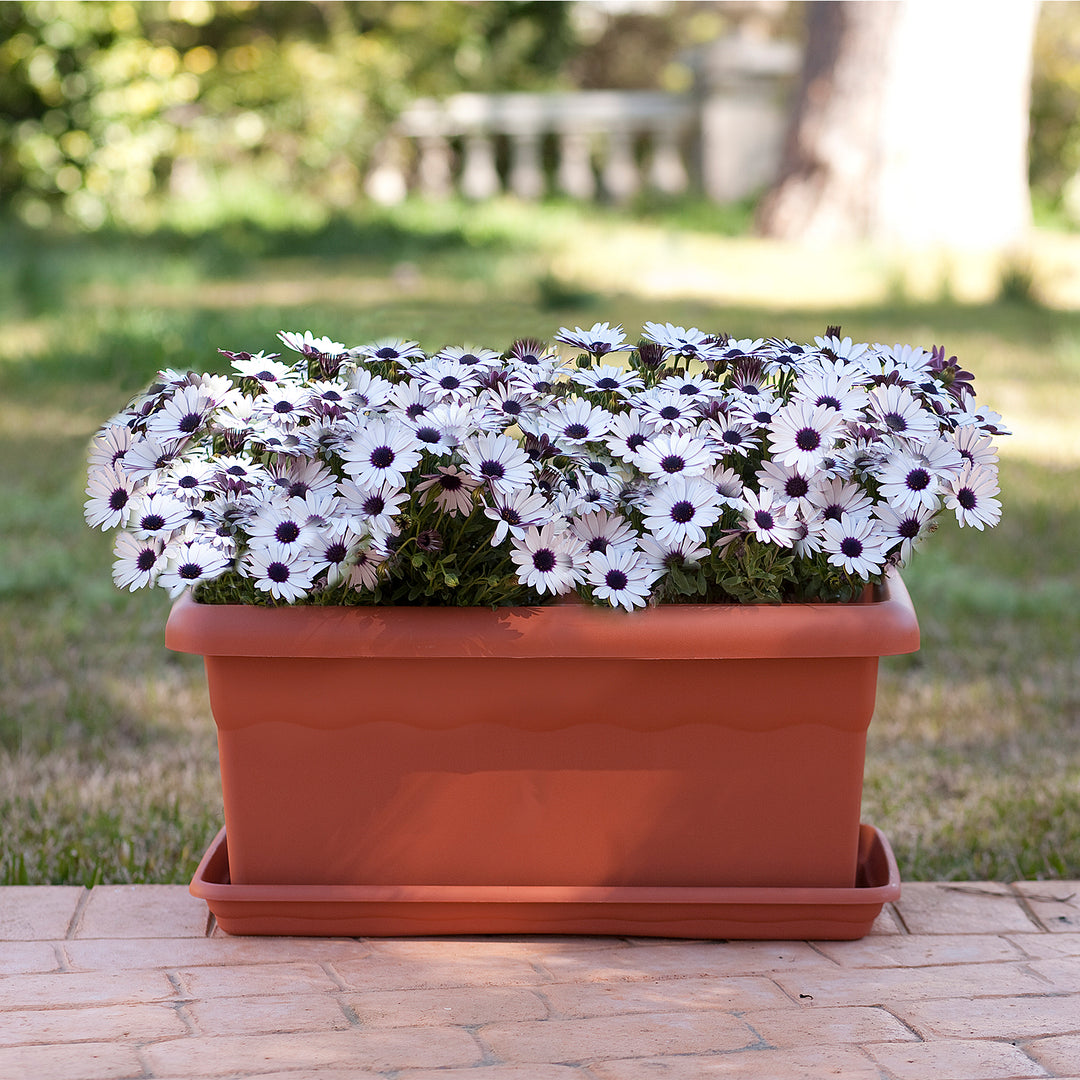 Plastiken TERRA - Jardinera Rectangular 60 cm 33L con Plato Incluido. Terracota