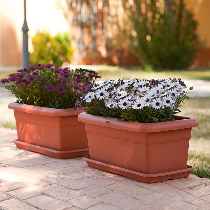 Plastiken TERRA - Jardinera Rectangular 80 cm 31L con Plato Incluido. Taupe