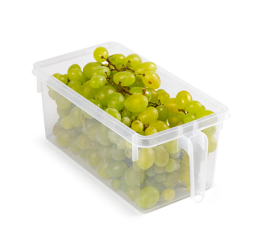 Plastic Forte - Organizador de Nevera Transparente con Asa Handy Frigo