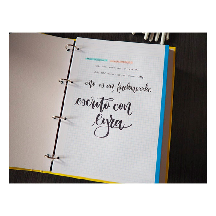 LIDERPAPEL - Recambio Liderpapel A4 100 Hojas 100g/M2 Cuadro 5mm 4 Taladros Bandas de 5 Colores