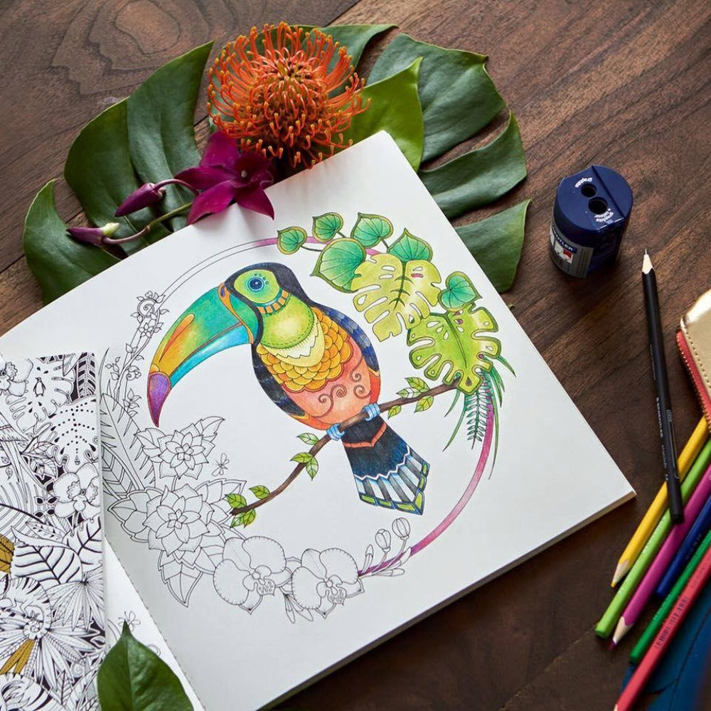 STAEDTLER 185 C24 03 - Caja de Cartón con 24 Lápices de Colores Surtidos