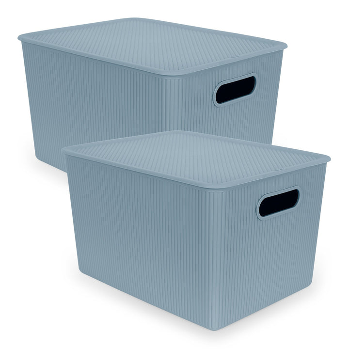 TATAY Baobab - Set de 2 Cajas Organizadoras 22L con Tapa en Plástico PP05. Azul Mist