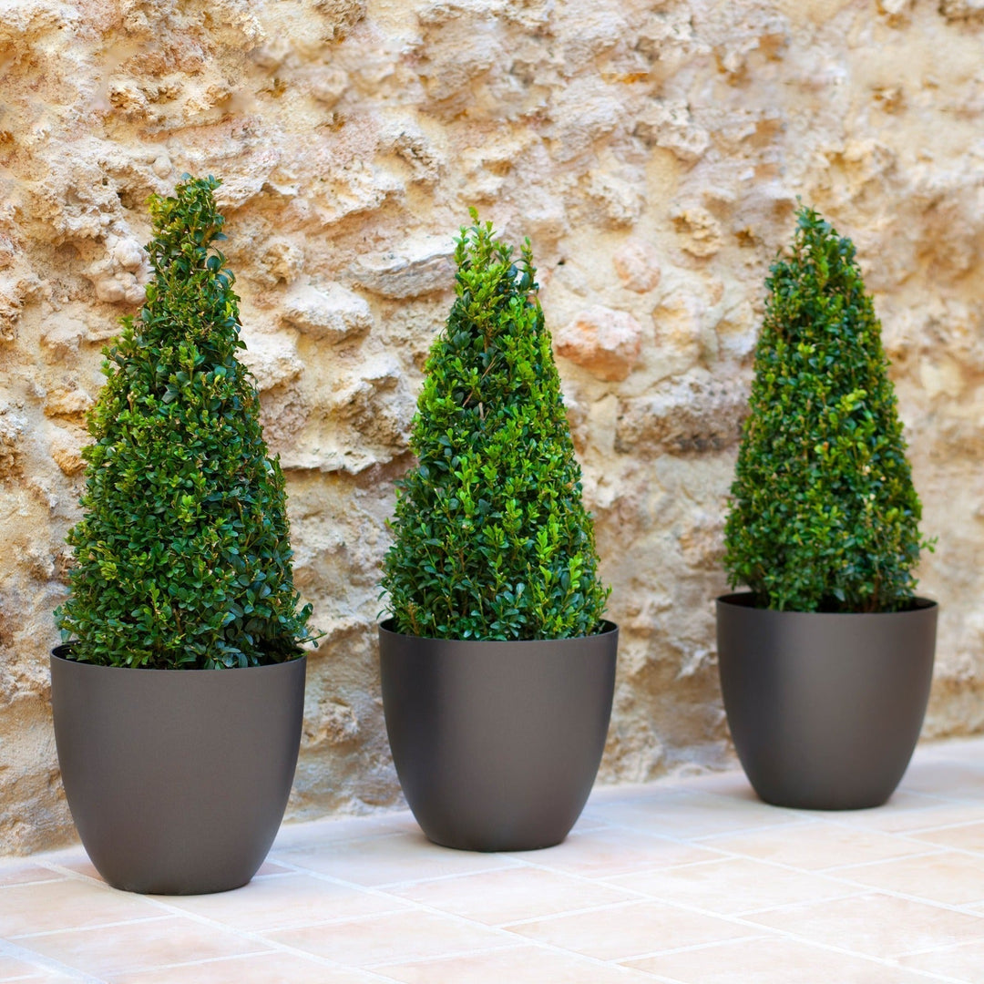 Plastiken TES - Maceta Redonda Cuenco Diámetro 32 cm Capacidad 17.5L. Taupe