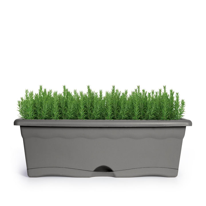 Plastiken TERRA - Set de 4 Jardineras con Plato Integrado. Medida 40 cm 8L. Antracita