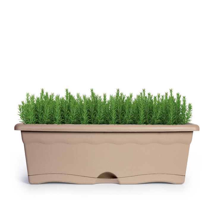 Plastiken TERRA - Set de 4 Jardineras con Plato Integrado. Medida 50 cm 10L. Taupe