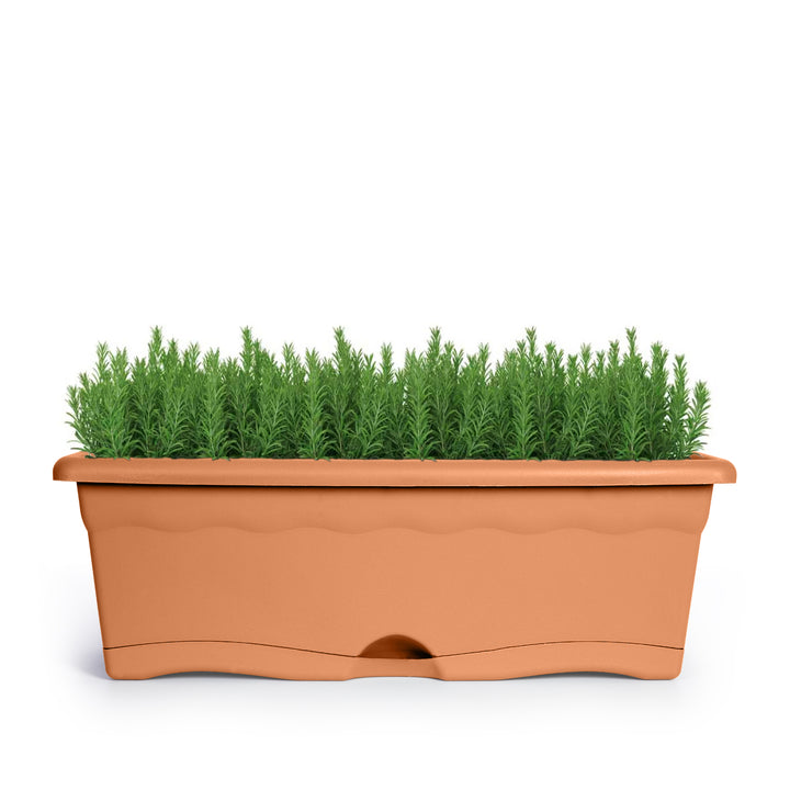 Plastiken TERRA - Set de 4 Jardineras con Plato Integrado. Medida 60 cm 12L. Terracota